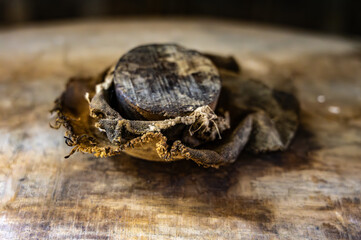 Aging process of cognac spirit in old dark French oak barrels in cellar in distillery house, Cognac white wine region, Charente, Segonzac, Grand Champagne, France
