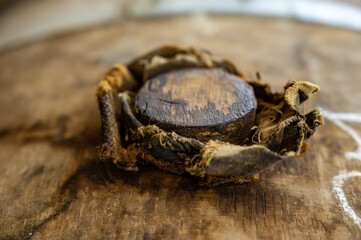 Aging process of cognac spirit in old dark French oak barrels in cellar in distillery house, Cognac...