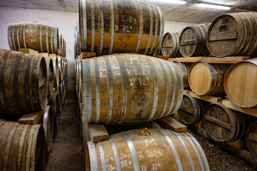 Aging process of cognac spirit in old dark French oak barrels in cellar in distillery house, Cognac white wine region, Charente, Segonzac, Grand Champagne, France