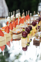 A large selection of various snacks for guests on a mirror surface. Buffet before an important event