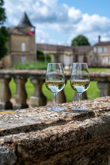 Glasses of white wine in old wine domain on Sauternes vineyards in Barsac village and old castle on background, Bordeaux, France