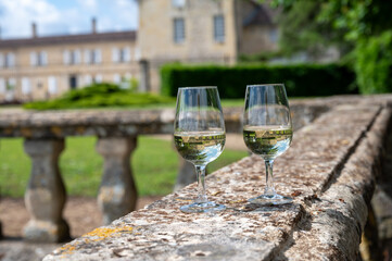 Glasses of white wine in old wine domain on Sauternes vineyards in Barsac village and old castle on background, Bordeaux, France