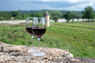Glasses of french dry red wine in old wine domain on Graves vineyards in Portets village and old castle on background, Bordeaux, France