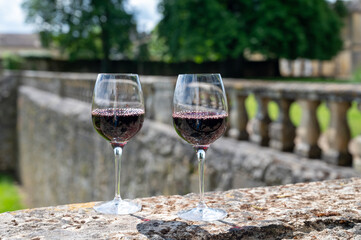 Glasses of french dry red wine in old wine domain on Graves vineyards in Portets village and old castle on background, Bordeaux, France