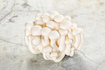 Japanese Shimeji mushroom for cooking