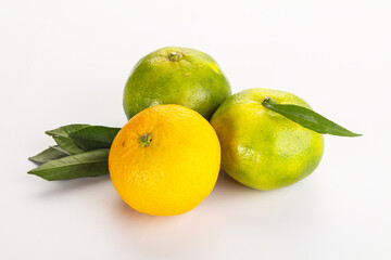 Fresh ripe sweet juicy mandarins