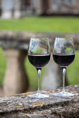 Glasses of french dry red wine in old wine domain on Graves vineyards in Portets village and old castle on background, Bordeaux, France