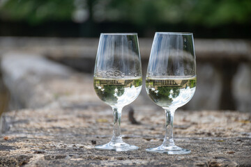 Glasses of white wine in old wine domain on Sauternes vineyards in Barsac village and old castle on background, Bordeaux, France