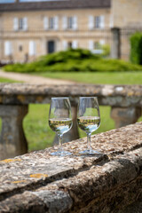 Glasses of white wine in old wine domain on Sauternes vineyards in Barsac village and old castle on background, Bordeaux, France