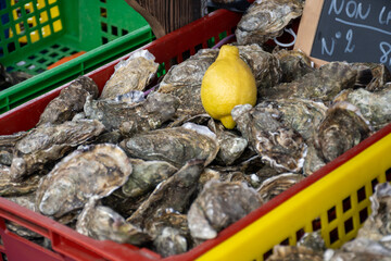 Fresh live different sizes oysters in market hall ready to be eaten for lunch from oyster-farming village, Arcachon bay, Gujan-Mestras, Bordeaux, France