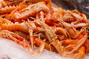 Assortment of fresh daily catch of prawns, seashells, molluscs on ice on fish market in Brittany, France, English translation: differens French names of seafood
