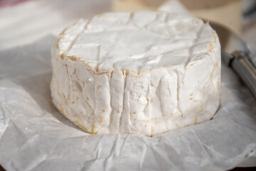 French soft Camembert cheese, original Camembert de Normandie made from raw cow milk
