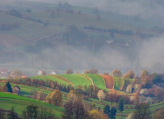 Agricultural landscape with fields of fruit trees and foggy landscape after rain. Romantic rural landscape. Sunny morning in countryside, fields with morning dew and fog  © Ivan