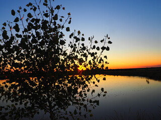 Sunset in hues of reddish-orange and yellow over the lake on a summer day.