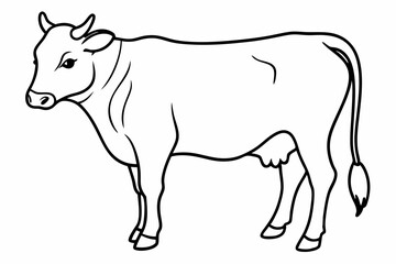 cow line art vector illustration	
