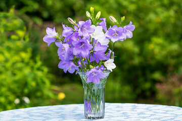 On the garden table in a glass vase is a fresh bouquet of peach-leaved blue and white bells.