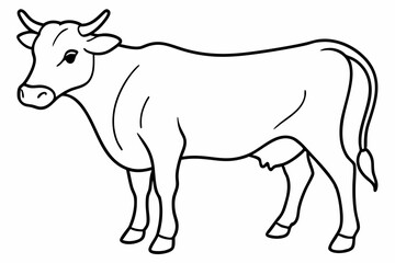 cow line art vector illustration	
