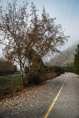 carretera abandonada