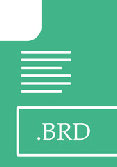 BRD File format Icon fill inside with symbol