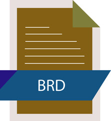 BRD File format icon modern design