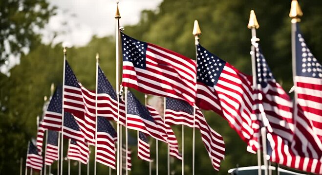Many flags of the United States in Washington.