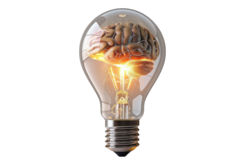 Photo of brain inside a light bulb glowing isolated on transparent background