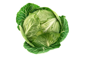 Obraz premium Photo of cabbage isolated on transparent background