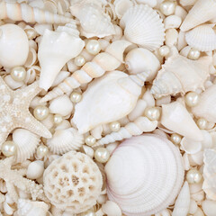 Beautiful white seashells and oyster pearl background with large collection of beach shells. Nature marine life composition for summer theme greeting card.