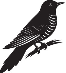 Cuckoo bird silhouette vector illustration design