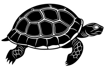 Turtle marine animal icon. Sea turtle silhouette. vector illustration


