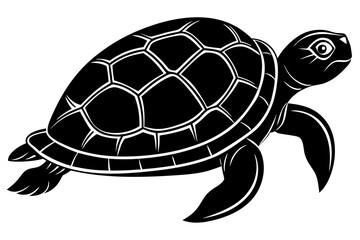Turtle marine animal icon. Sea turtle silhouette. vector illustration


