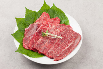 The name of the front leg beef part of Korean beef is called fan meat.

