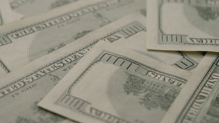 Pine forest after a large scale fire in France, Landscape of a burnt forest, New green vegetation after a forest fire