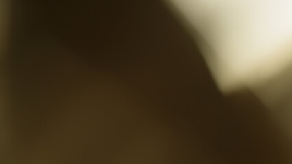 Real lens flare with strong sun backlight and light leaks