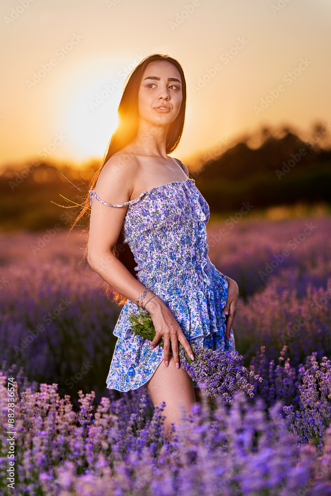 Canvas Prints woman in a lavender field