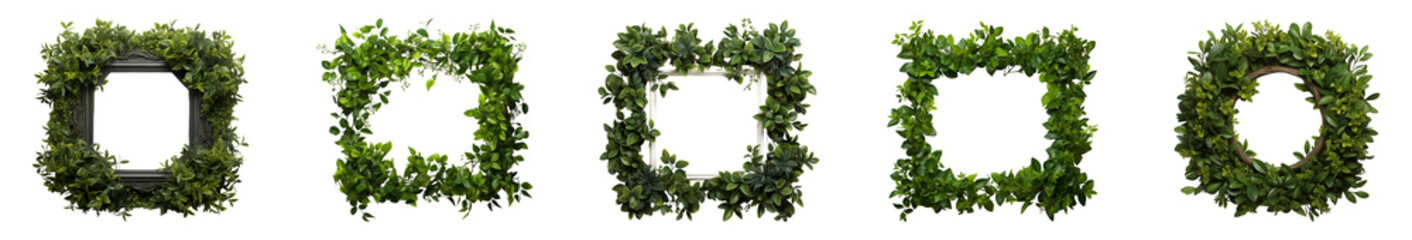 Fototapeta premium Set of tropical leaf frames. Isolated on a transparent background.