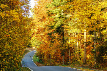 Jesienna droga w lesie.  Poland Świętokrzyskie. © Leszek