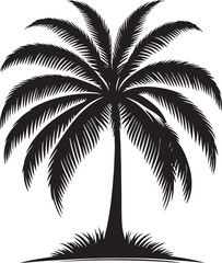 Palm tree silhouette isolated on white background