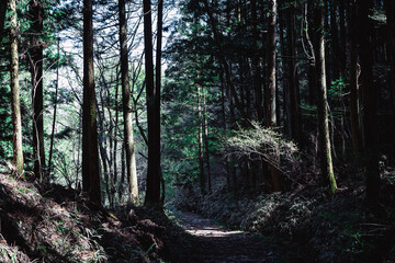 Fototapeta premium 【長野・岐阜県】中山道の歴史的街並み
