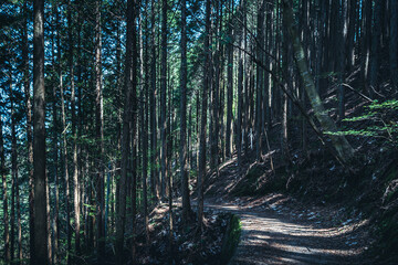 【長野・岐阜県】中山道の歴史的街並み