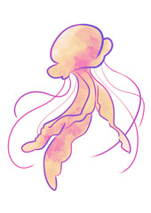 クラゲ（オレンジ）