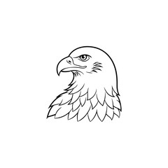 eagle vector illustration