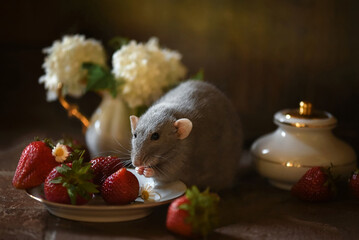 Little cute rat with strawberry and white flowers