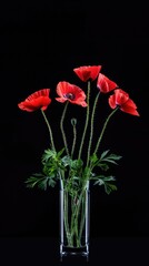 A bouquet of red poppies sits in a white vase against a dark, black background