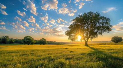 Fototapeta premium Free good morning scene wallpaper background photo