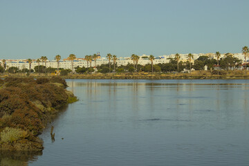 view of the river © Israel