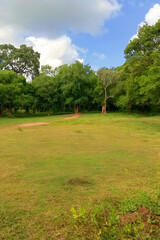 landscape with trees