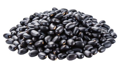 A close-up photo of a black beans isolated on a white background