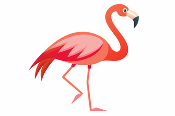 Pink flamingo on a white background