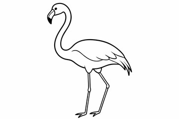 Obraz premium flamingo line art vector, tropical bird flamingo line drawing 